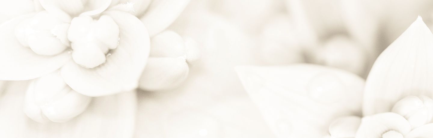 Pearlworkshop Φρέσκες Ιδέες για Υγιές Σπίτι